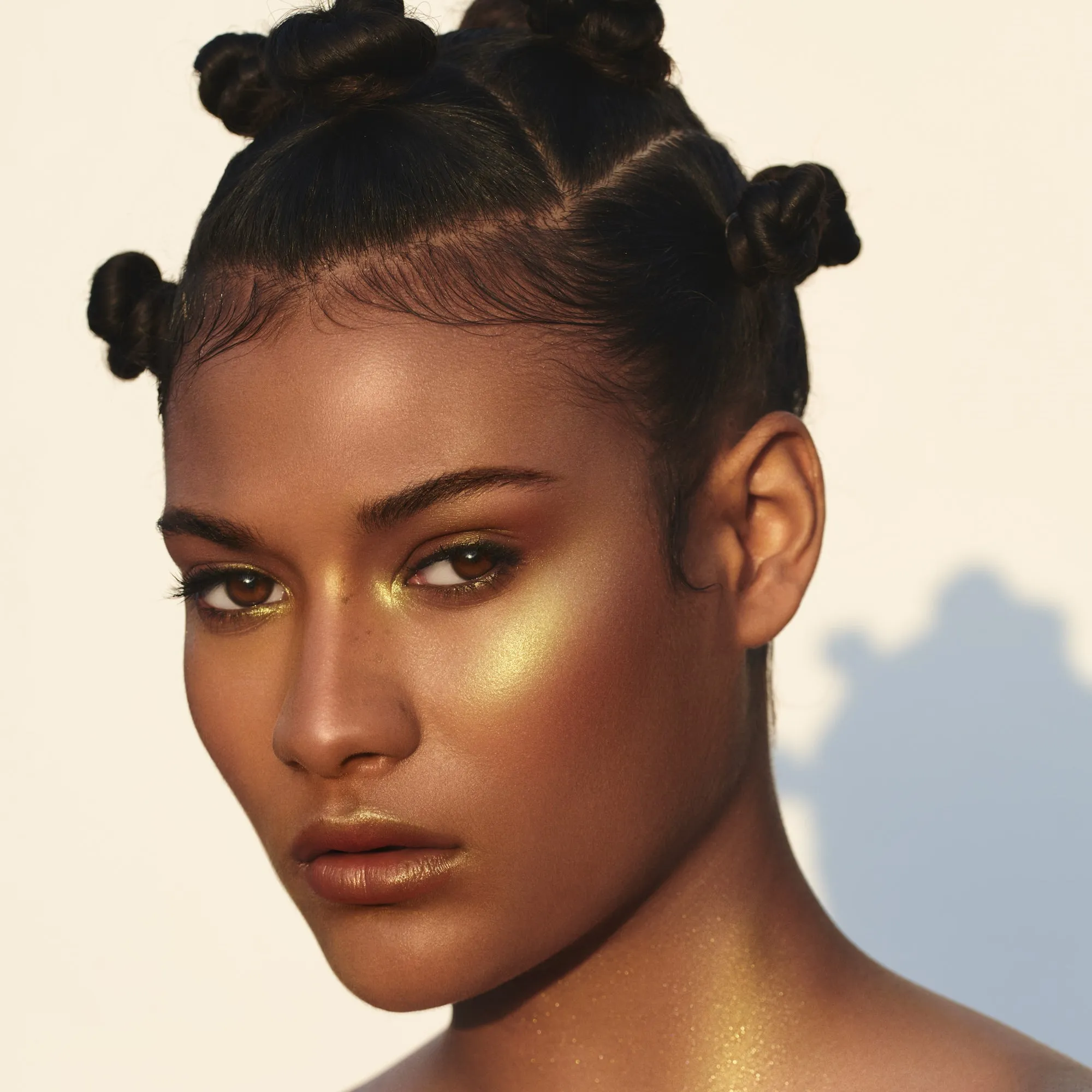 Metamorphic Highlighter: The Chimera